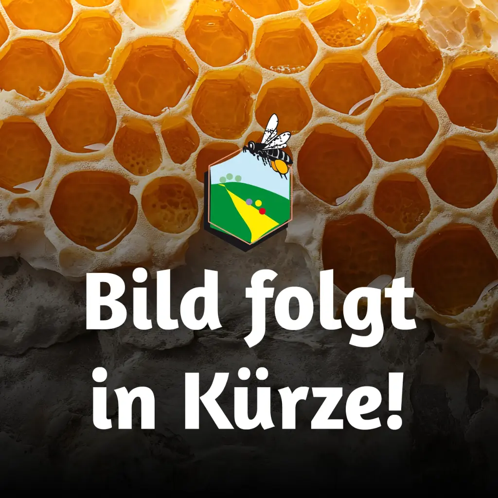 Bienenlehrpfad-Poster im SET - A2 (8 Stück)