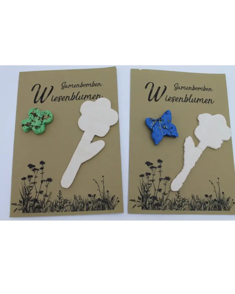 Samenbomben Wiesenblumen