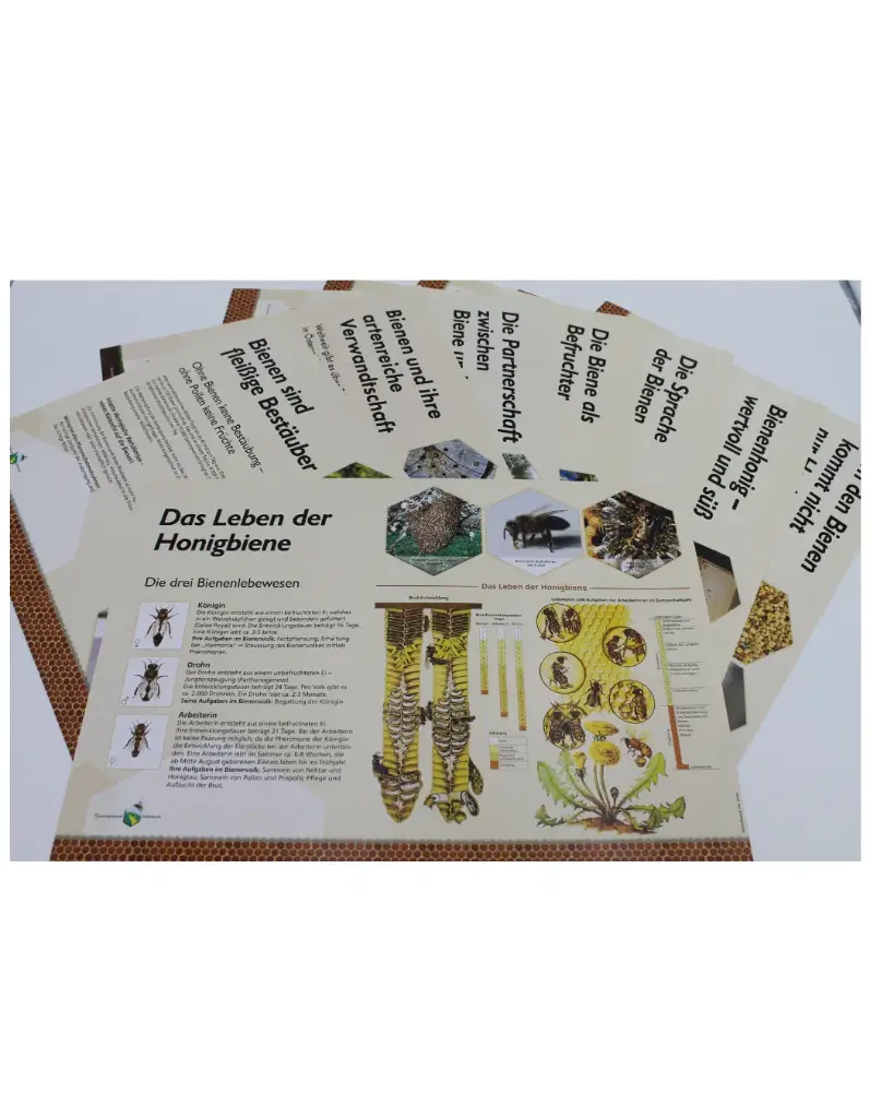 Bienenlehrpfad SET ALU Dibond - 8 Stück