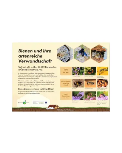 Bienenlehrpfad-Poster einzeln A2