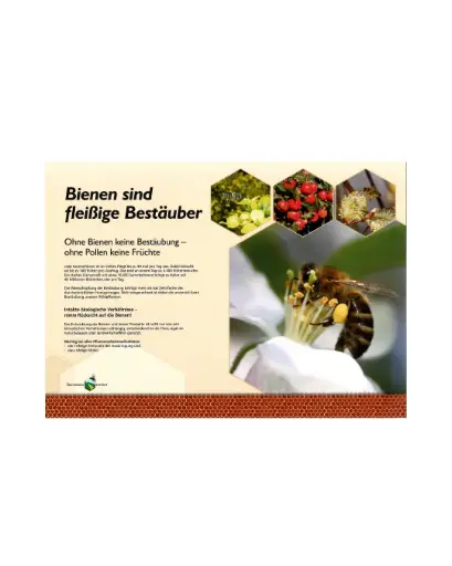 Bienenlehrpfad Einzelposter A0 ALU Dibond